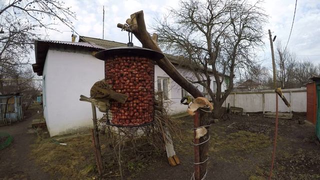 ВоробьиП спорят Синицы Арахис Сетчатая Сало Зима Денисово 12