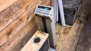 Будущая семья