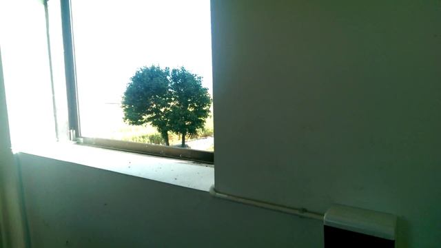 Колокольня .Деревня Сынковичи Беларусь. смотреть онлайн