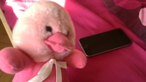 ЛУНТИК ВСЕ ВРЕМЯ ЗВОНИТ! ВЫЗОВ ГНОМИКА