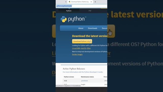 Python скачать интерпретатор