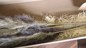 Подарок из кортадерий - пампасная трава, сухоцвет Set of cortaderias - pampas grass, dried flower