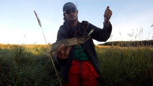 Ловля на поверхностные воблеры. Ловля щуки.