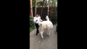 Первый день рождения сына Александра Овечкина и Анастасии Шубской