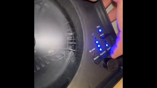 STADLER FORM Humidifier OSKAR! - Issues, cleaning, review after 2 week usage! смотреть онлайн