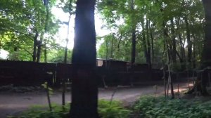 Прогулка ранним утром по Измайловскому лесопарку / Лесопарк "Измайлово"