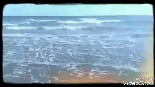 Аня и Владимир Высоцкий на Канарских островах. Испания / декабрь 2017 г. смотреть онлайн