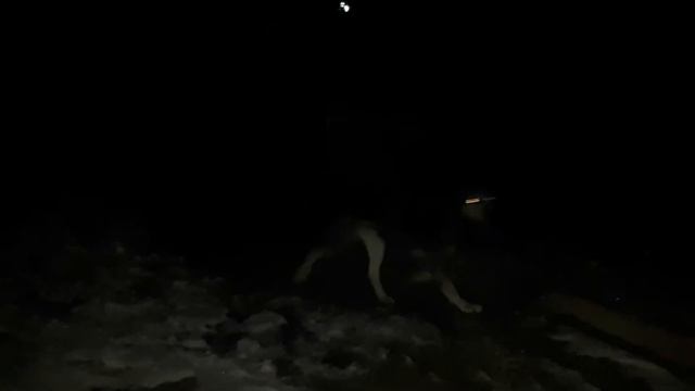 Страннннная З В Е З Д А ПОСМОТРЕТЬ ВСЕМ смотреть онлайн