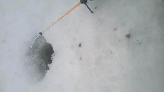 Зимняя рыбалка 2019 на удочку!вот что вышло!