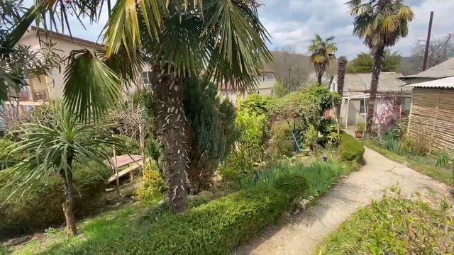 Участок в продаже. Видео от Ильи Летодиани. смотреть онлайн