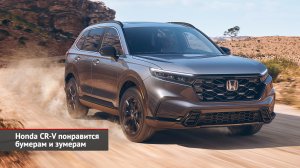 Honda CR-V понравится бумерам и зумерам. Honda Civic Type R отпразднует юбилей модели | Новости 2089