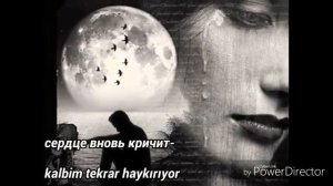 не моя ты не моя текст песни ( магамед дзибов )