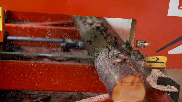 Пилим Кипарис на Ленточной Пилораме Wood-Mizer LX55 смотреть онлайн