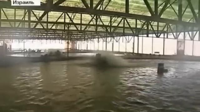 Ловить рыбу теперь можно в пустыне! смотреть онлайн