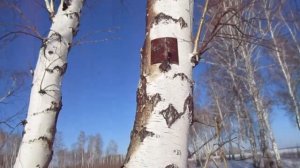 ВЕПРЬ 308.БАРНАУЛЬСКИЕ ПАТРОНЫ ОБОЛОЧКА.