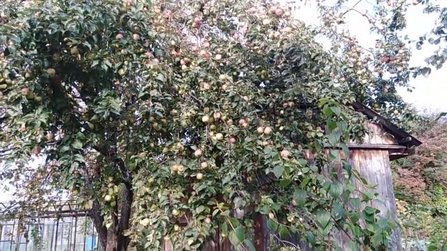 27.09.2020 закрытие сезона смотреть онлайн