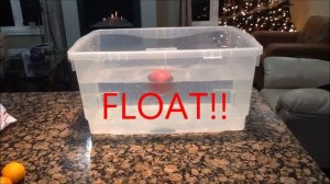 Sink or Float - Fruit