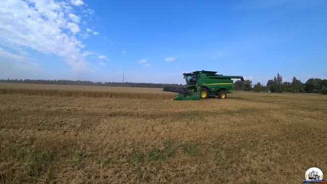 Слишком влажное зерно - 20%. 1 прицеп против 6 комбайнов. Claas Axion с БДТ-5 дискует стерню. смотреть онлайн