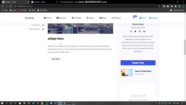 Online Auction System using Django смотреть онлайн