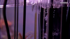 #Травник 200 (1 часть) - Подготовка и запуск аквариума.