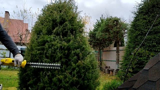 Дешёвый кусторез против дерева. смотреть онлайн