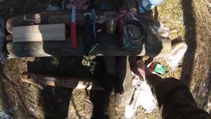 Про выживание в диком лесу ( добыча еды )