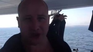 Акулы в Красном Море есть!!!