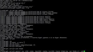 Создание простого самоподписаннного сертификата с использованием OpenSSL