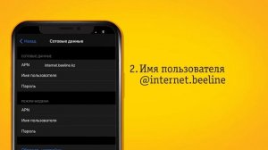 Настройка точки доступа APN на смартфонах Apple
