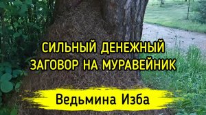 СИЛЬНЫЙ ДЕНЕЖНЫЙ ЗАГОВОР НА МУРАВЕЙНИК. ДЛЯ ВСЕХ. ВЕДЬМИНА ИЗБА ▶️ МАГИЯ