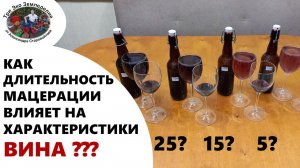 Как длительность мацерации влияет на характеристики вина #ТриЭкоВиноделие