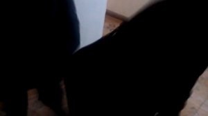 Мальчик нюхает жопу другова  мальчика