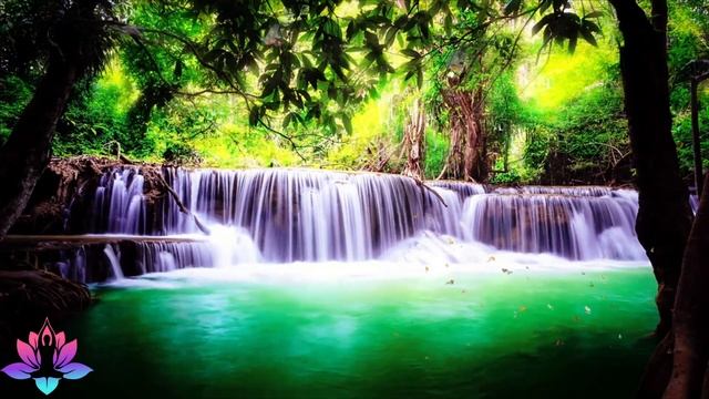 A beautiful waterfall in the jungle with nature sounds and relaxing music (t) смотреть онлайн
