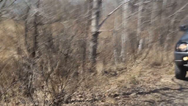 ДжимниГёлз. Трофи-рейд Весенний призыв (Чемпионат Хабаровского края по трофи-рейдам 2019) смотреть онлайн