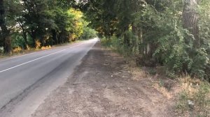 Golf 7 1,4 Выхлоп