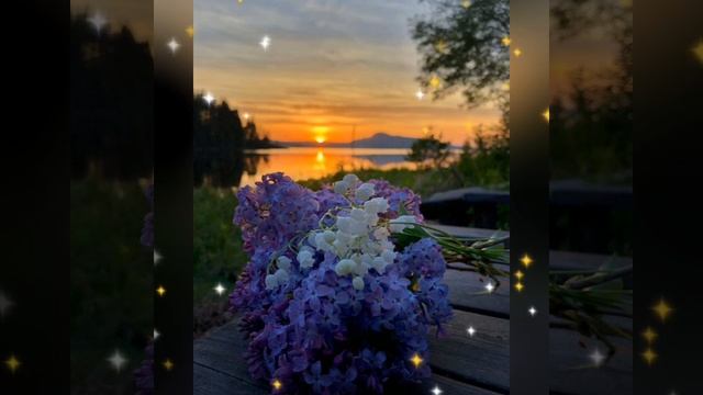 Спокойной ночи! Сладких снов! смотреть онлайн