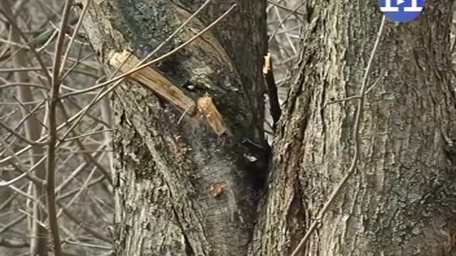 Детский сад "Колосок" смотреть онлайн