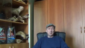 Интервал замены моторного масла