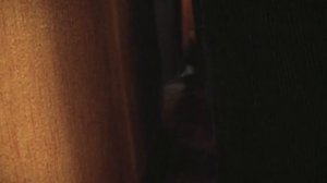 Злые коты вторая подборка