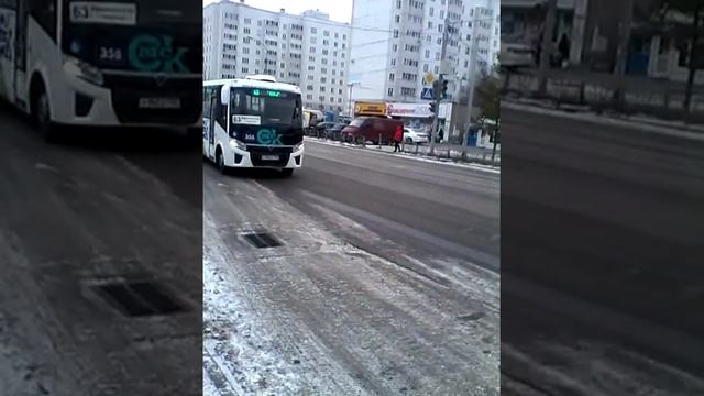 Новые омские муниципальные автобусы