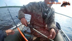 рыбалка на спиннинг. ловля судака щуки и окуня  на озере Лача