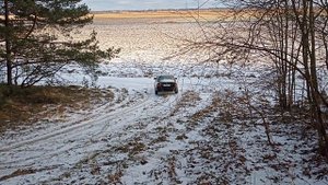 Что может Quattro?!