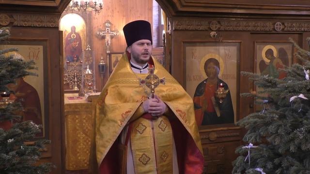 #доброхрам 09.02.2020 Проповедь иерея Димитрия Попова. Поздняя литургия. смотреть онлайн