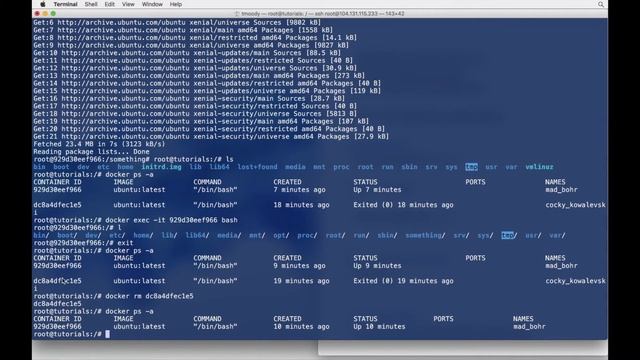 Crucial Docker Commands You Must Know смотреть онлайн