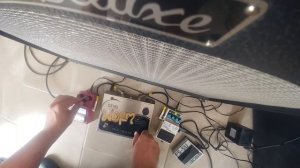 ANALOG DELAY IBANEZ AD9, ELECTRO HARMONIX THE WORM y BOSS DD7