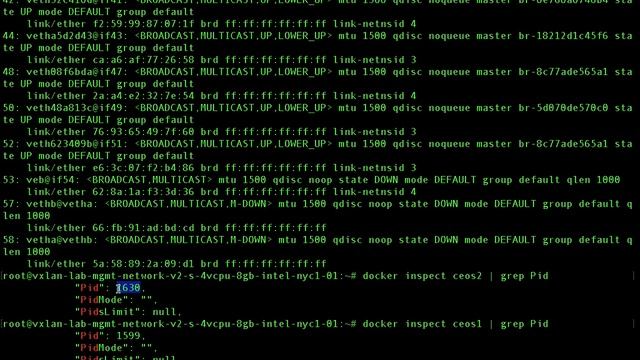 Interconnecting Arista cEOS with vEth pairs смотреть онлайн