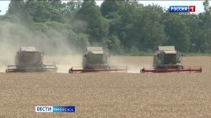 В Смоленской области собрали более 80 тысяч тонн картофеля