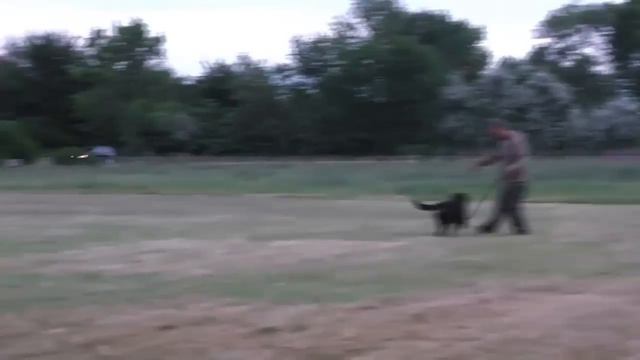 CASIO TRAINING смотреть онлайн