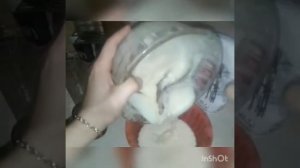 Диетический торт из рисовой муки. Пальчики оближешь!