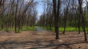 Представители Администрации города совместно с экспертами ОНФ посетили экопарк «Березка»